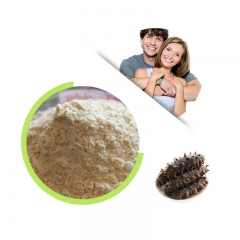 Sea cucumber oligopeptide