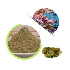 Kelp Powder