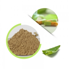 Aloe Vera Essence Powder