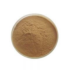 Pumpkin seed P.E