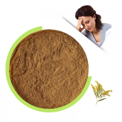 Solidago  powder