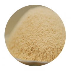 Beta Glucancse
