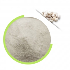 White Kidney Bean Extract