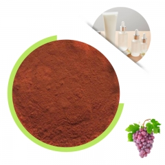 Grape Seed Extract