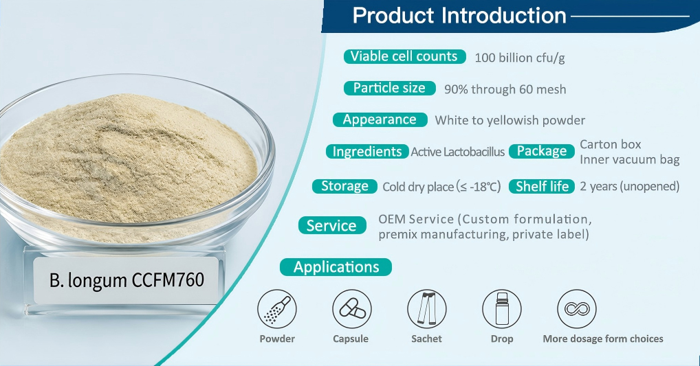 Can Bifidobacterium longum CCFM760 Serve as a Highly Efficient Alternative to Multi-Strain Blends Through Prebiotic Synergy?