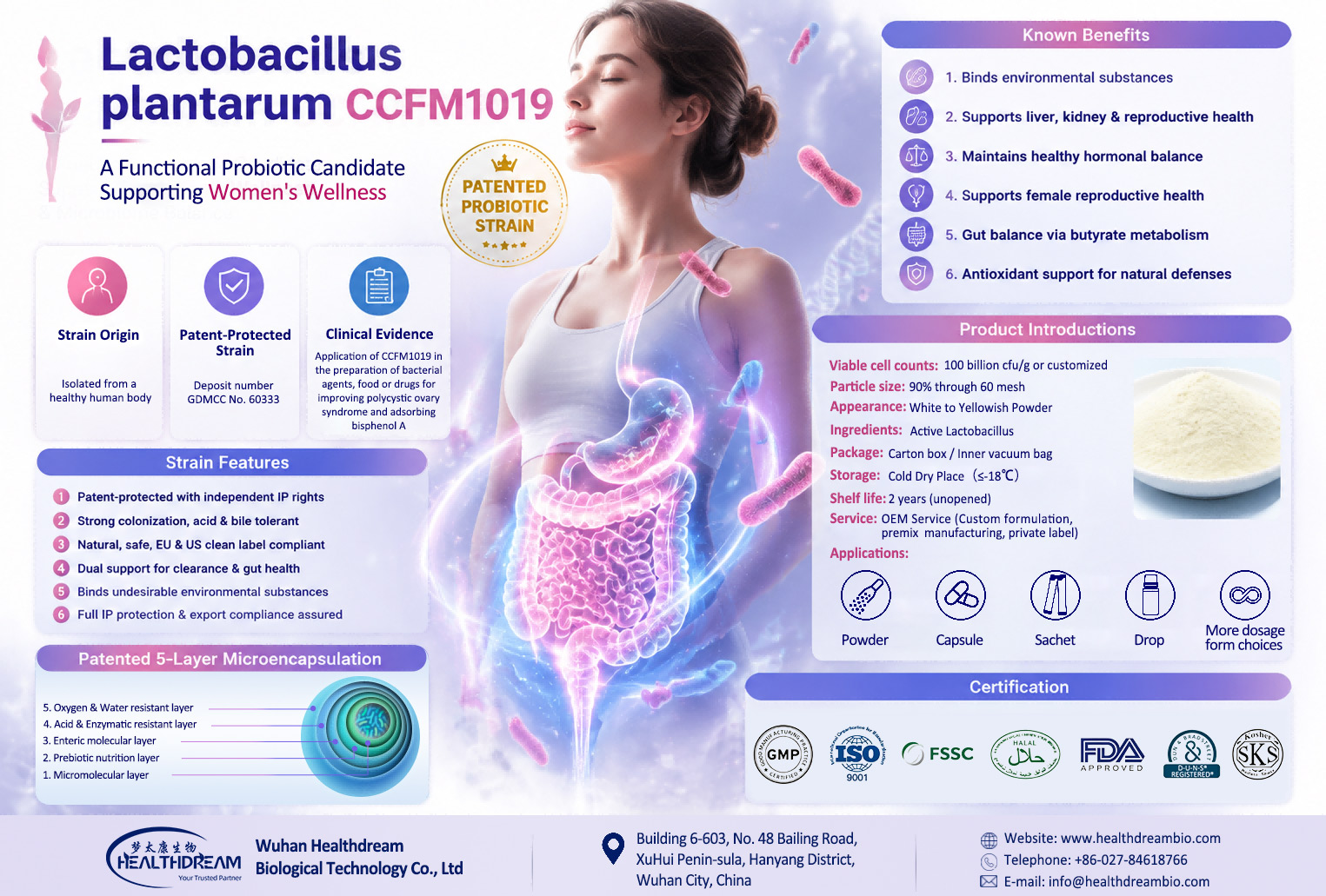 How does Lactiplantibacillus plantarum CCFM1019 support women's hormonal health through the gut-brain axis?